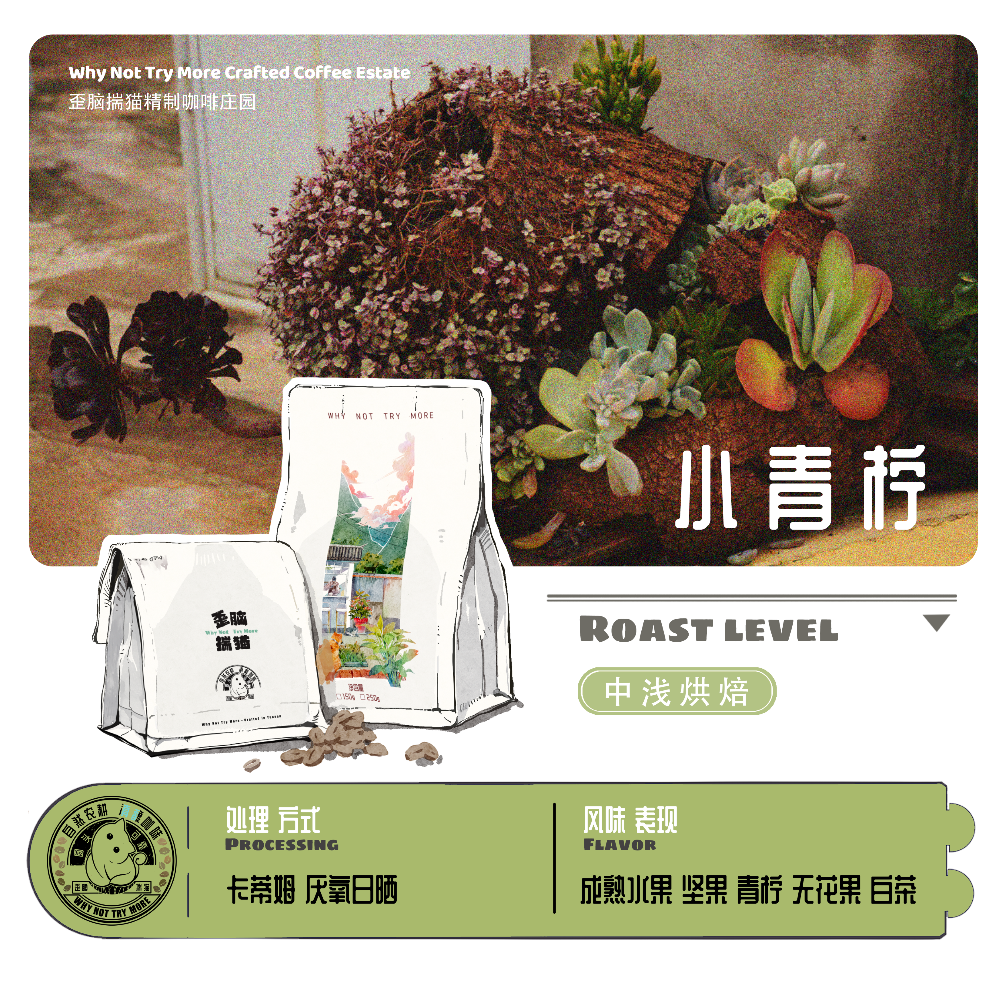 小青柠|日晒|中浅烘|庄园自烘|云南小粒咖啡豆|精品手冲咖啡|现烘