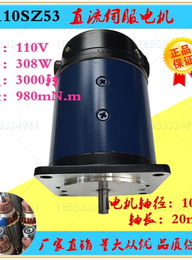 110SZ53 直流伺服电机110V  308W 3000R 直流驱动马达 博山微电机