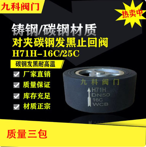 H71H-16/25C铸钢发黑止回阀DN50
