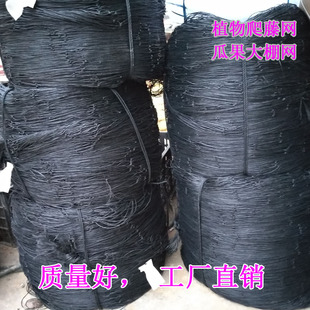 百香果专用植物网罗汉果苦瓜黄瓜丝瓜豆角沃柑园艺爬藤蔬菜攀爬网