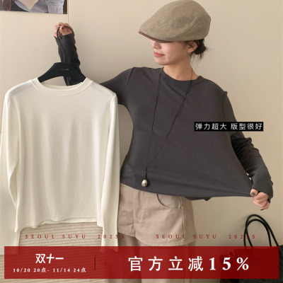 休闲风加厚羊绒弹力长袖T恤女