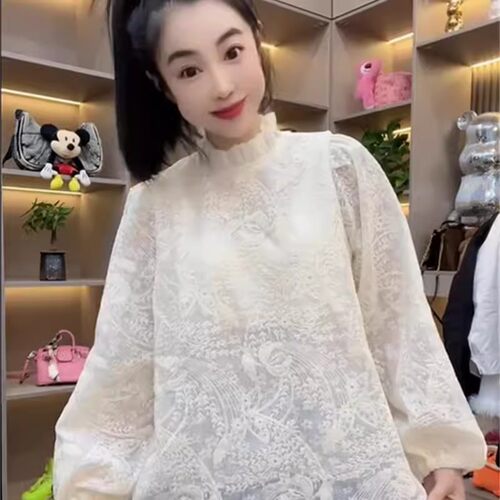 欧货高级感刺绣蕾丝提花立领衬衫