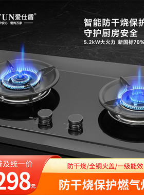 爱仕盾防干烧燃气灶一级能效全铜火盖5.2kw大火力12T家用猛火双灶