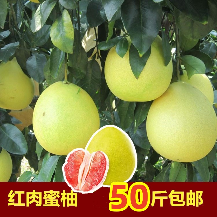 梅州红肉蜜柚50斤包邮