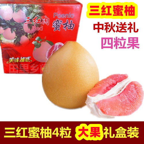 三红蜜柚梅州自产大4粒