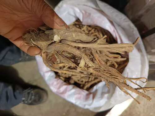 前胡一斤19.9元百花前胡根深山农家自采晒干无硫免费磨粉500g包邮