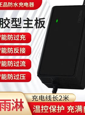 高端防水铅酸电池电动车电瓶充电器48V12A60V72V20AH原装正品通用