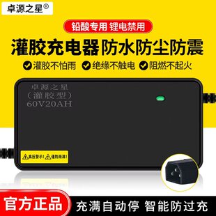 适用爱玛电动车电瓶车充电器48V12AH60V72V20A新国标铅酸电池通用