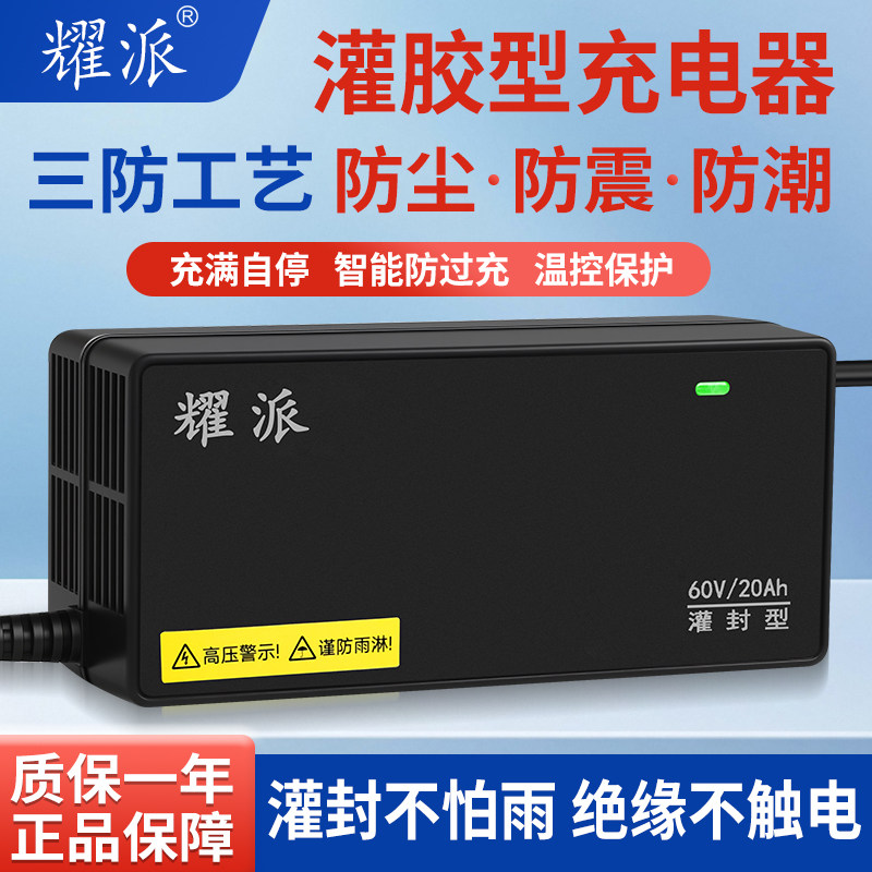 适用爱玛电动车电瓶车充电器48V12AH60V72V20A新国标铅酸电池通用 - 实物图