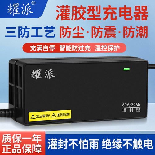 适用爱玛电动车电瓶车充电器48V12AH60V72V20A新国标铅酸电池通用
