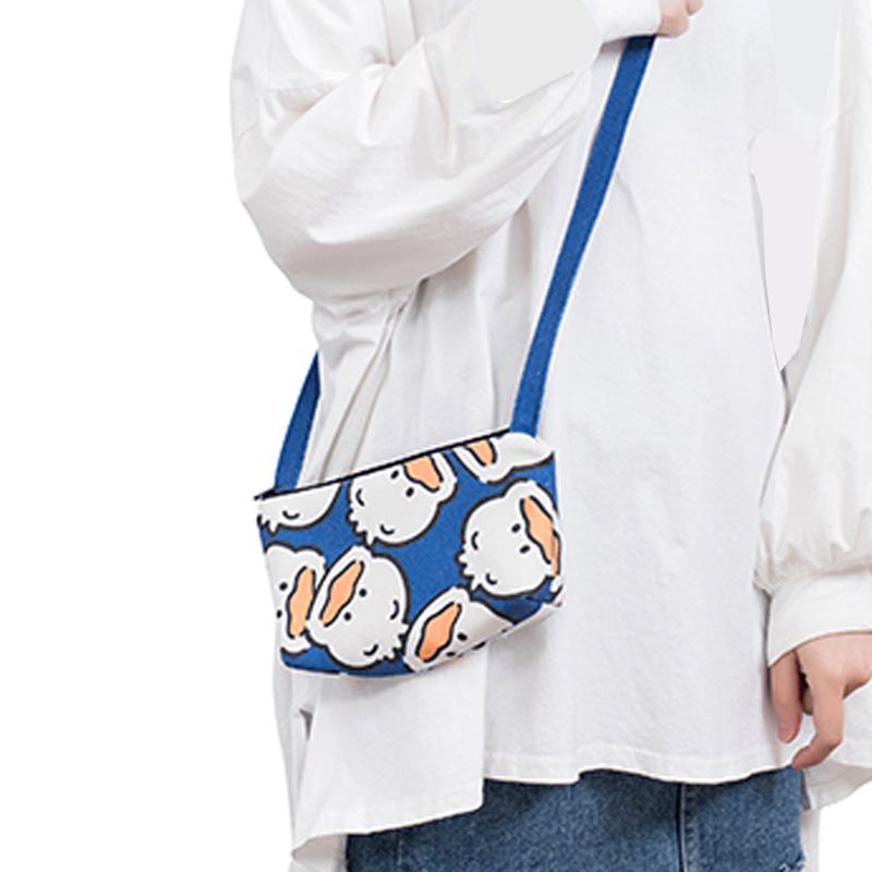 ins超火上新帆布休闲斜挎小包