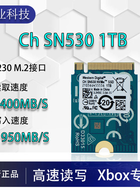 CH  SN530 1TB 2230 NVME PCIE4.0固态硬盘 M.2全新SN530