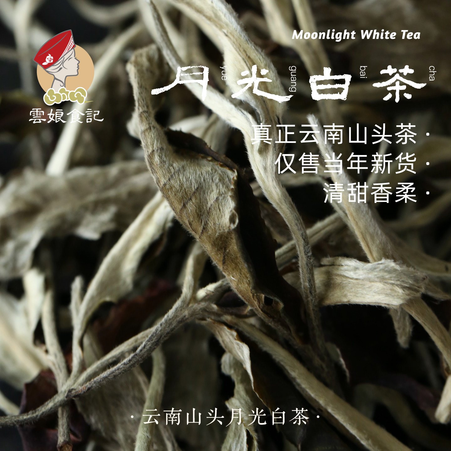 云南月光白茶春茶送礼图片