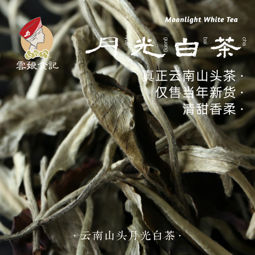 云南月光白茶春茶送礼