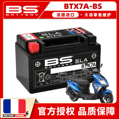 法国进口大功率免维护自放电率低