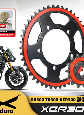 TR300 XCR300静音大小牙盘三件套 DR300链轮征和油封链条正品
