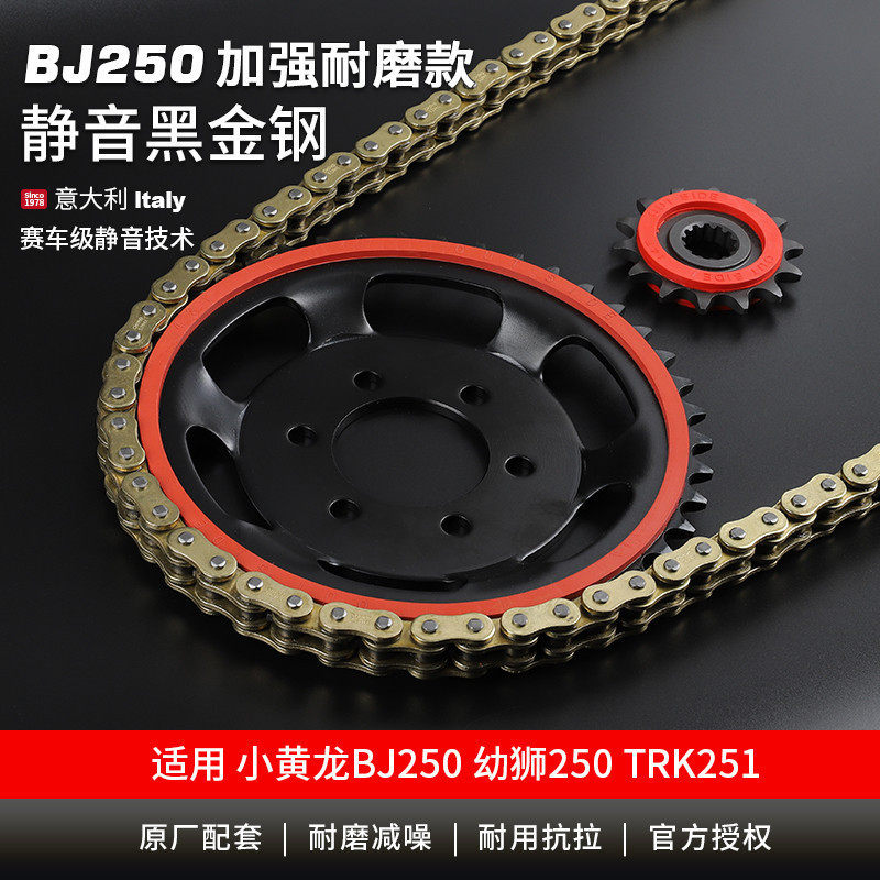 适用贝纳利小黄龙BJ250 幼狮250 TNT25静音牙盘链轮征和油封链条