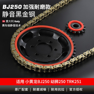 适用贝纳利小黄龙BJ250 TNT25静音牙盘链轮征和油封链条 幼狮250