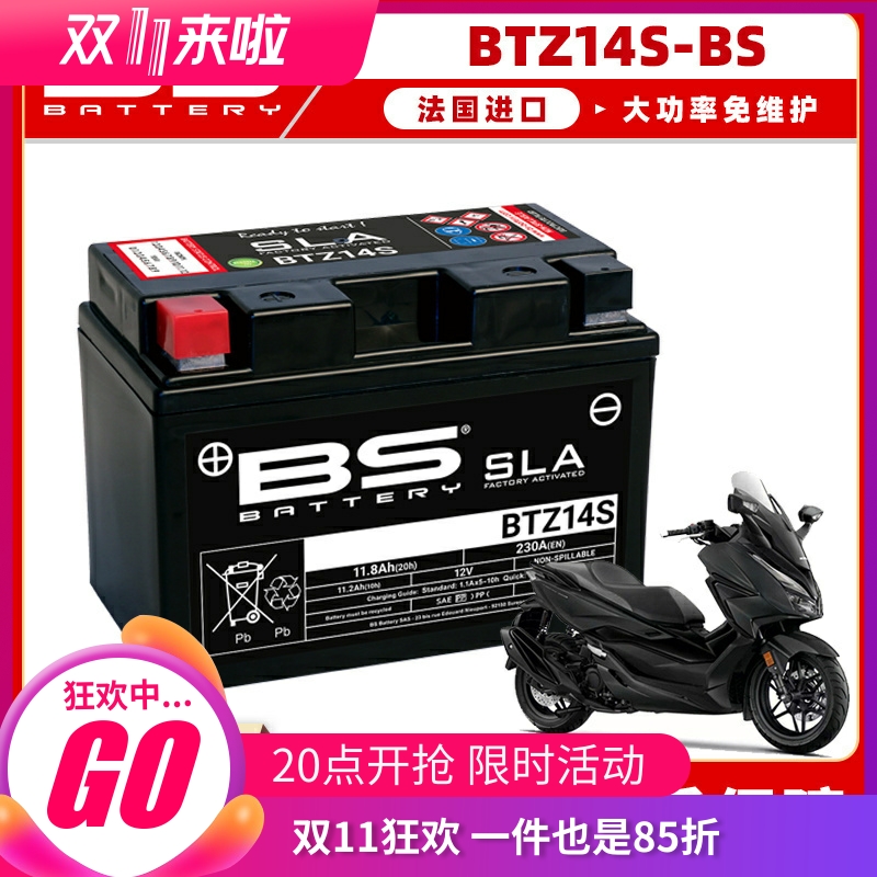 法国进口大功率免维护电池寿命长