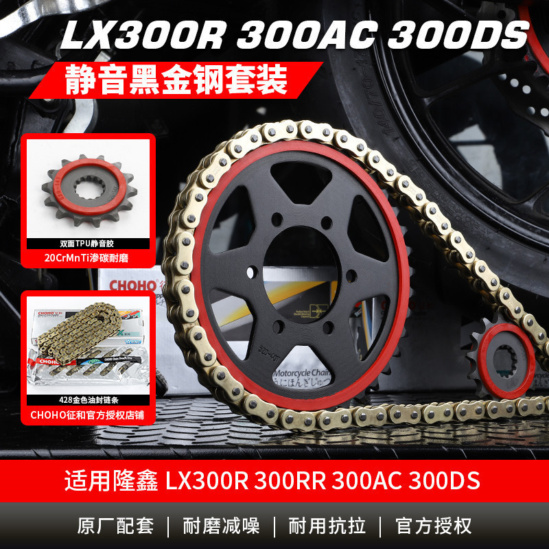 适用隆鑫无极LX300RR 300DS 300AC大小飞链轮征和HX油封链条静音