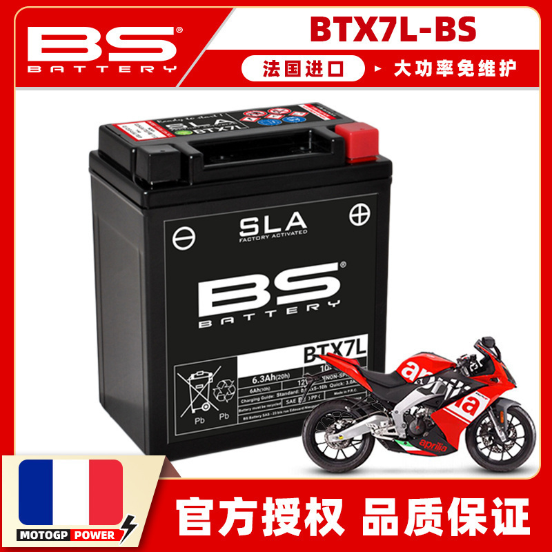 法国进口大功率免维护电池寿命长