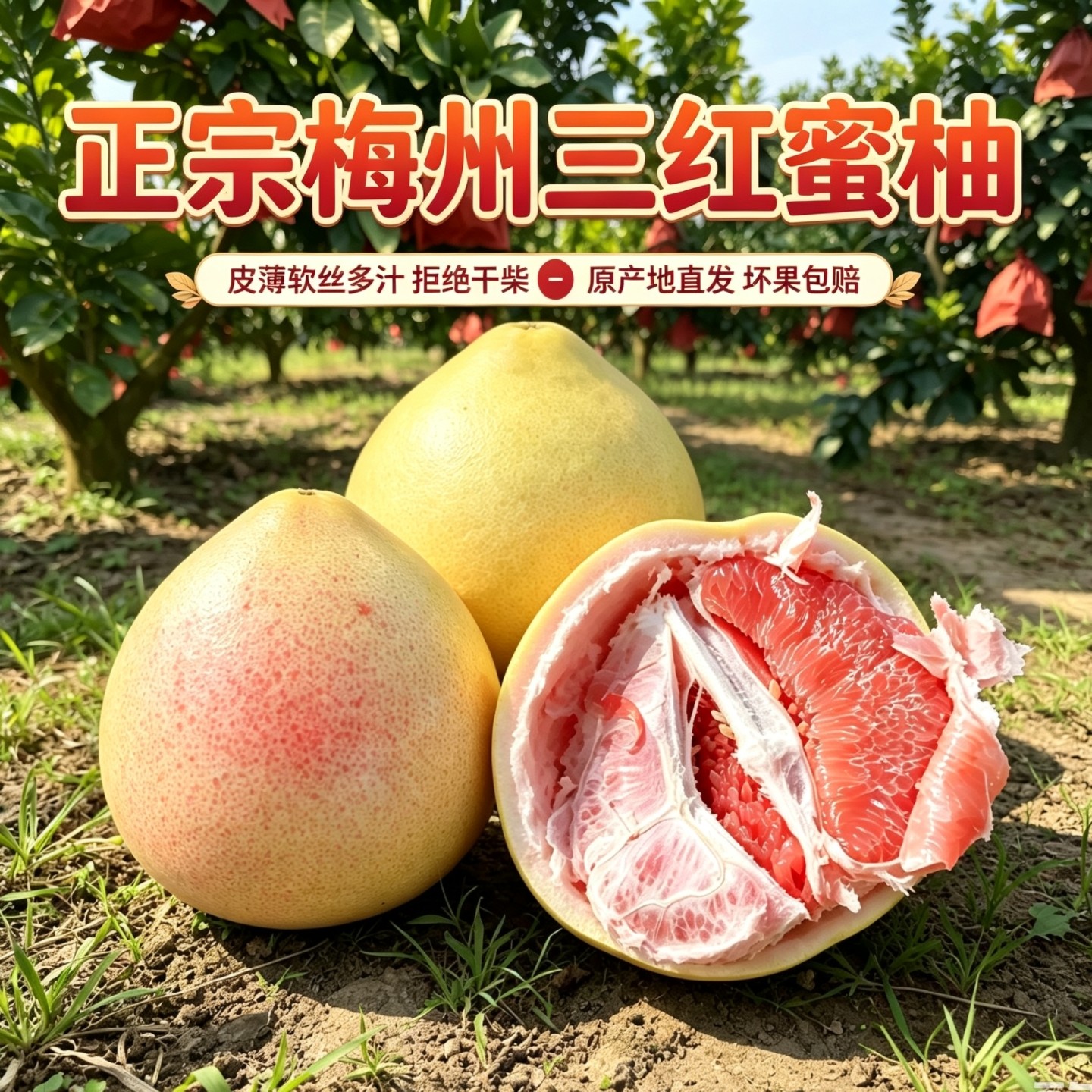 梅州正宗三红蜜柚新鲜水果果园直柚子