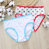 中大童学生女纯棉女童三角裤 4条装 AB儿童全棉内裤 T108
