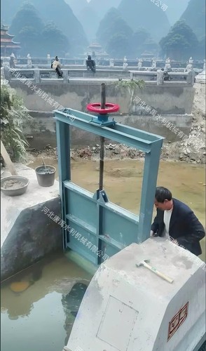 钢制机闸一体式闸门手动螺杆式不锈钢启闭机铸铁河道渠道农田