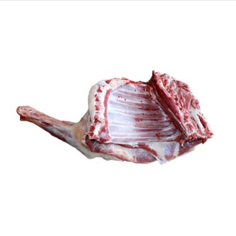 羊排前腿带排宁夏滩羊新鲜现宰