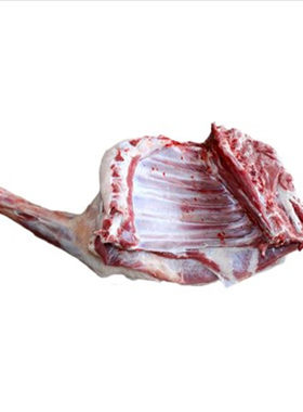 羊排前腿带排宁夏滩羊新鲜现宰