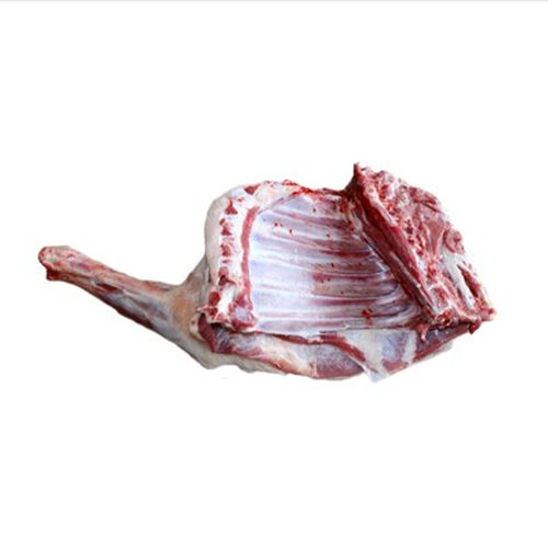 羊排前腿带排宁夏滩羊新鲜现宰