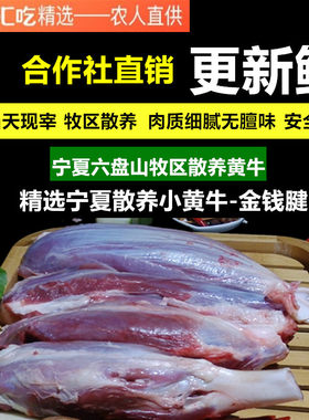 金钱腱牛腱芯健身牛腱子牛肉
