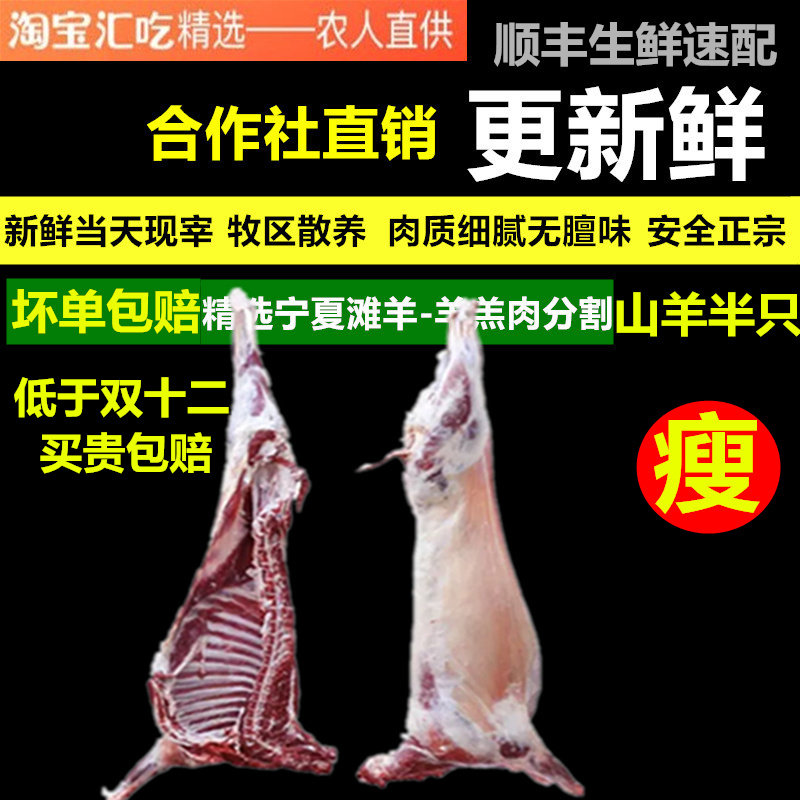 整羊山羊肉全羊新鲜现宰宁夏滩羊