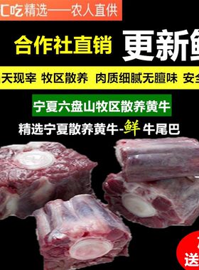 牛尾新鲜牛尾骨宁夏黄牛宝宝孕妇