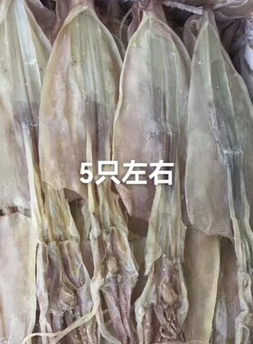 东山岛淡晒鱿鱼干大 中小号鱿鱼干烧烤海鲜干货5只左右一斤尤鱼干