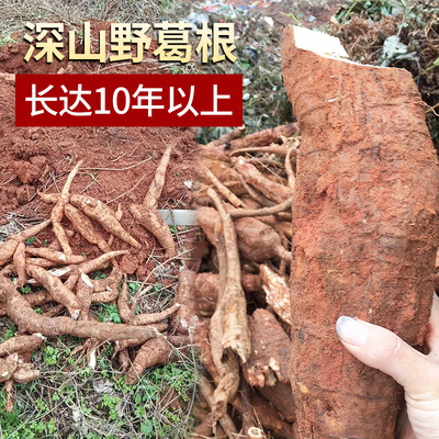 葛根粉天然深山正宗农家代餐