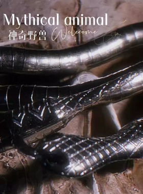 蛇形缠绕！chocker缠绕金属朋克女y2k亚文化小众爱心项链锁骨链