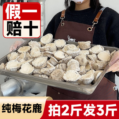 吉林鹿乡鹿角帽粉旗舰店正品梅花鹿帽整个打粉鹿角冒托盘脱盘通乳