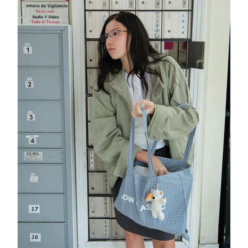 休闲控b入韩国新款lowla*i百搭通勤单肩格纹帆布包收纳袋女