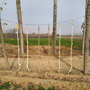 户外斜坡爬绳立柱幼儿园感统体适能训练器材儿童体能攀爬绳索玩具