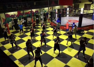 心理宣泄室宣泄墙地板拳道垫子无味耐磨加厚地垫发泄减压心理咨询