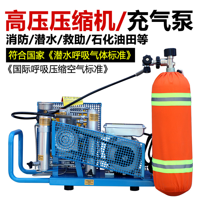 正压式消防充气泵220V压缩机空气呼吸器充气机压缩机30MPA充填泵_五金_工具