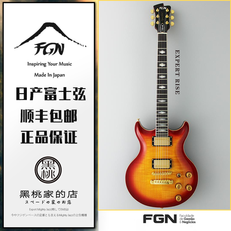 [黑桃家]日产FGN fujigen 富士弦Expert RISE  电吉他