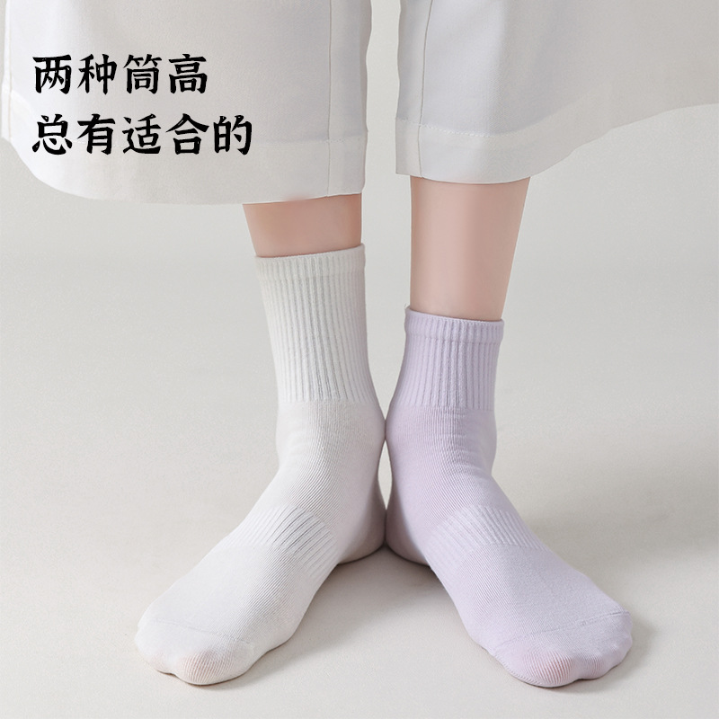 诸暨袜子女夏季薄款纯棉短袜防臭