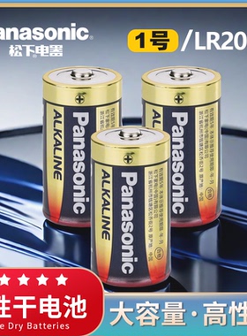 松下1号电池D型一号大号碱性LR20热水器煤气灶专用液化气燃气炉灶天然气原装正品1号电池燃气电池