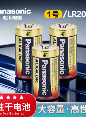 松下1号电池D型一号大号碱性LR20热水器煤气灶专用液化气燃气炉灶天然气原装正品1号电池燃气电池