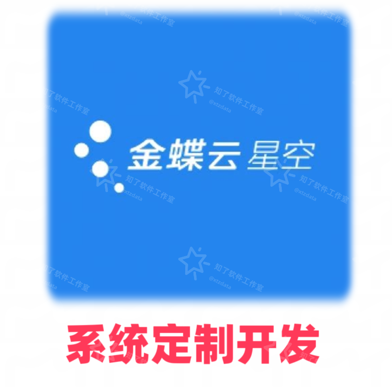 金蝶云星空系统定制开发服务ER其它设计服务