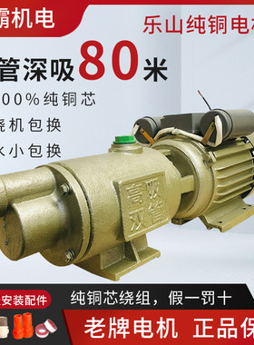 乐山人民电动高扬程高吸程螺杆泵