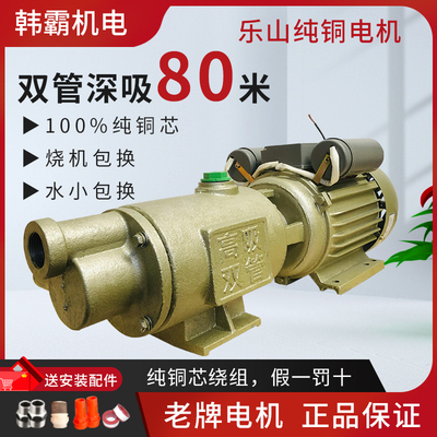 乐山人民电动高扬程高吸程螺杆泵