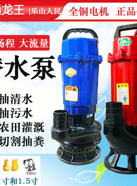 乐山污水潜水泵高扬程大流量农用灌溉排污抽化粪池泥浆家用220v